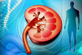 TCM Treatment for chronic renal insufficiency