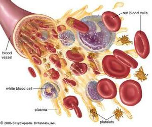 TCM Treatment for hemolytic anemia