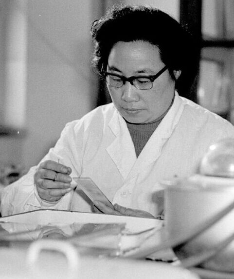 chinese tu youyou was awarded nobel prize for medicine