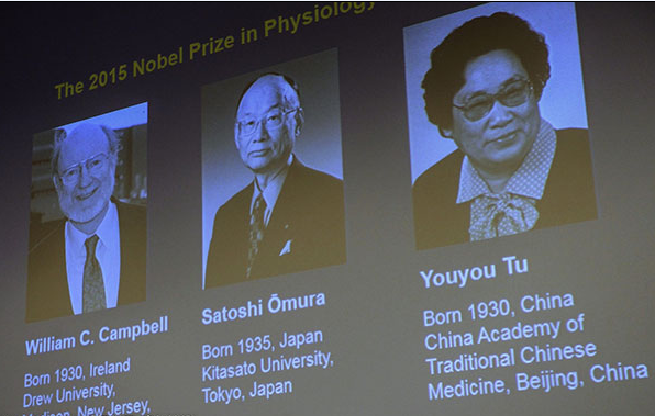 nobel prize no yardstick for china's academician system