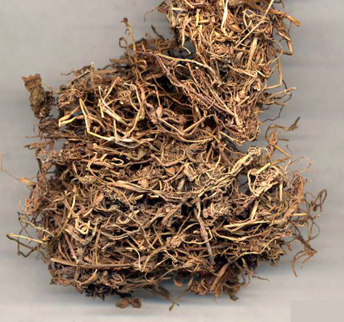 herba lobeliae chinensis (banbianlian)