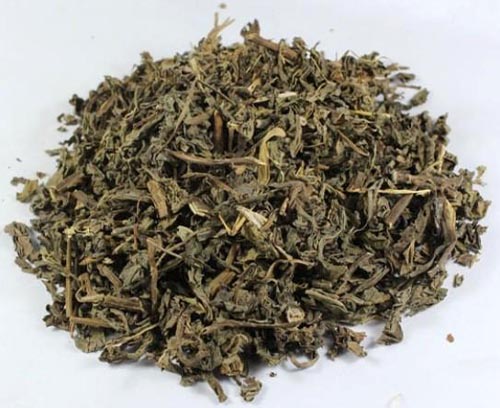 herba patriniae (baijiangcao)