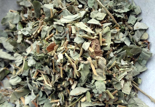 herba l ysimachiae (jinqiancao)