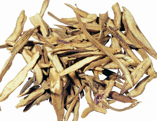 herba andrographitis (chuanxinlian)