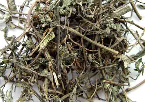 herba ecliptae (hanliancao)