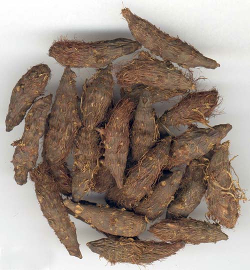 rhizoma cyperi (xiangfu)