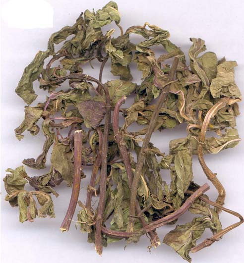 herba menthae (bohe)