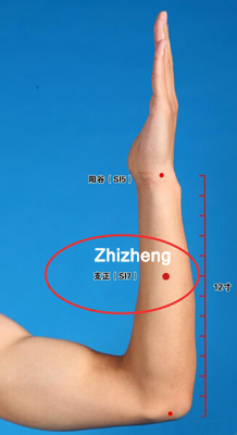 zhizheng (si 7) 
