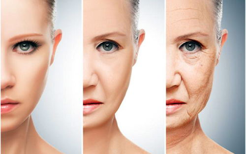 factors of aging in chinese medicine