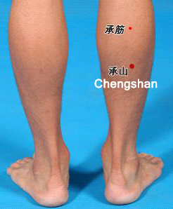 actupuncture single point chengshan