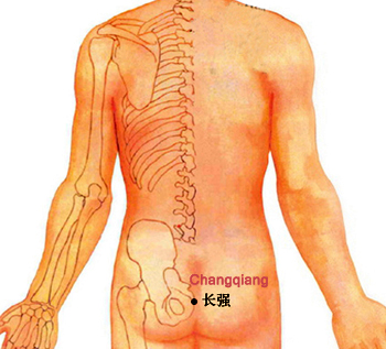 acupuncture single point changqiang