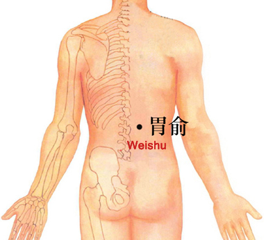 weishu (bl21)