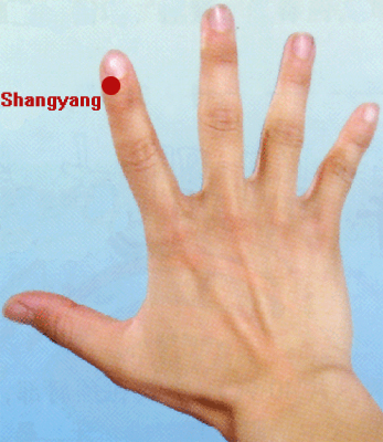 shangyang (li 1)