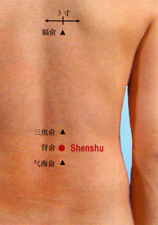 acupuncture single point shenshu