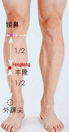 fenglong (st 40)