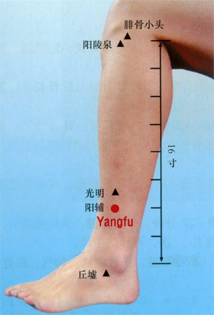 yangfu (gb38)