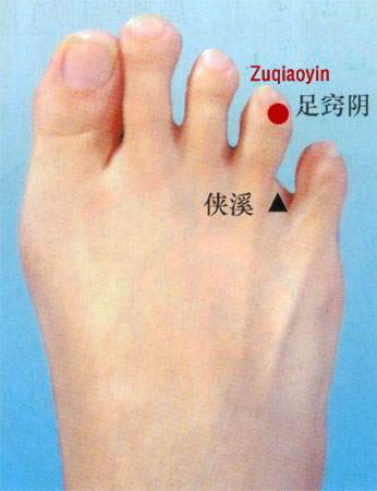 zuqiaoyin (gb 44)