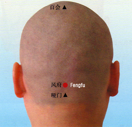 acupuncture single point fengfu