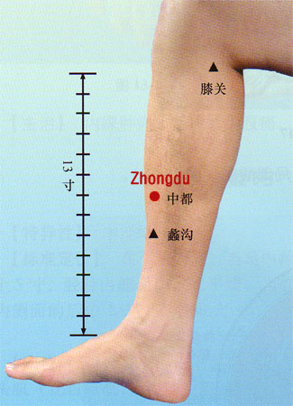 zhongdu (lr6)
