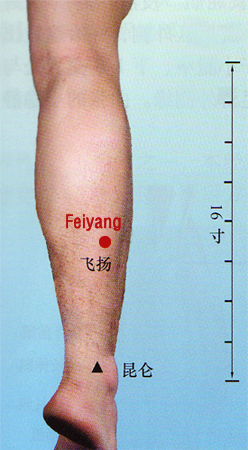 feiyang (bl 58)