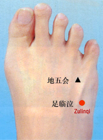 zulinqi (gb41)