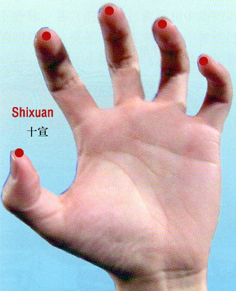 shixuan (ex- ue 11)