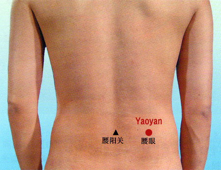 yaoyan (ex- b 6)