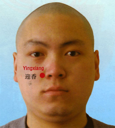 yingxiang (li 20)