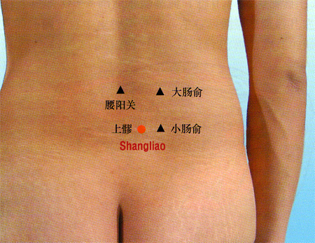 acupuncture single point shangliao