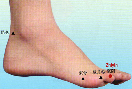 acupuncture single point zhiyin