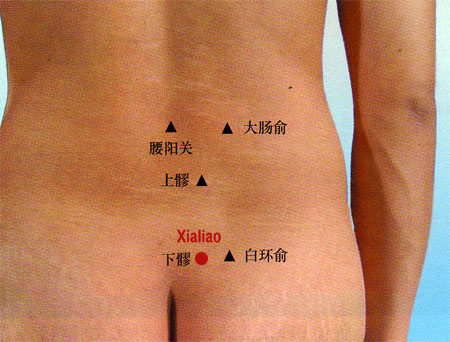 acupuncture single point xialiao