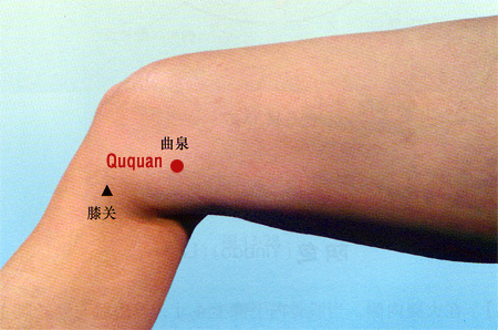 ququan (lr8)
