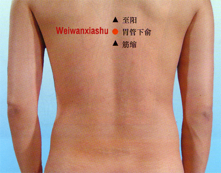 weiwanxiashu (ex- b 3)