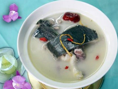 soup of soft-shelled turtle flesh for pulmonary tuberculosis