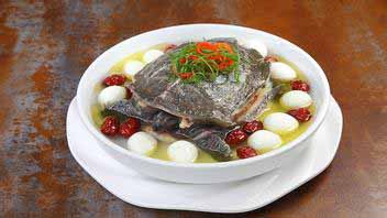 steamed soft-shelled turtle for viral hepatitis (image)