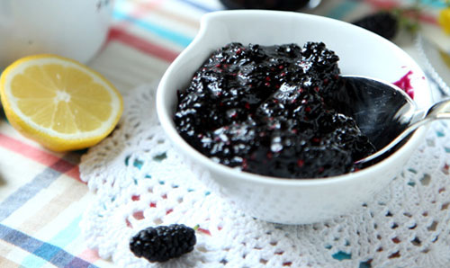 mulberry extract for anemia (image)