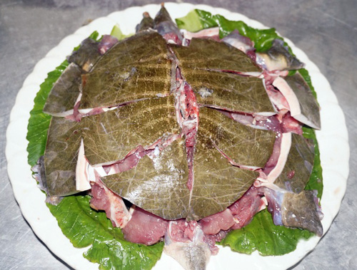 meat of soft-shelled turtle