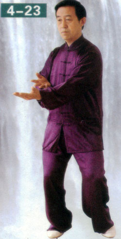 single whip in form of chen style taiji (with image)