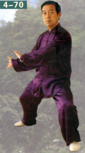 turn body with double lotus kick in form of chen style taiji