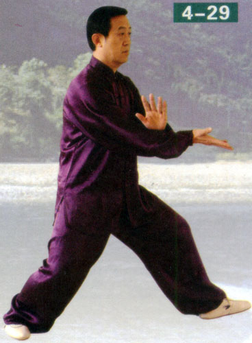 white crane spreads its wings in form of chen style taiji