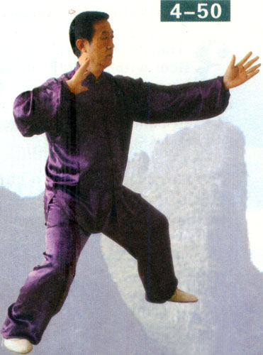 high pat on the horse in form of chen style taiji