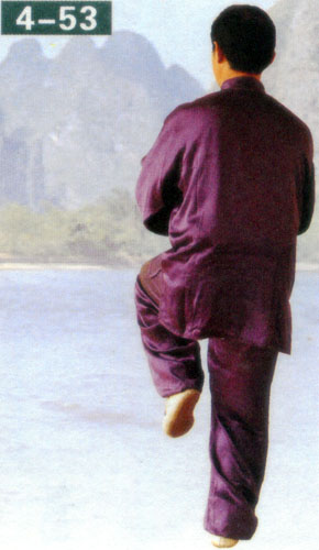 kick with the left heel in form of chen style taiji