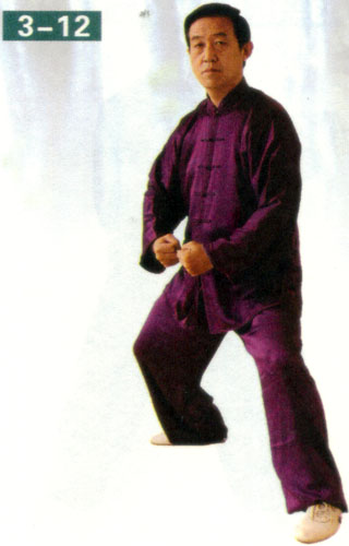 method of grasping the energy in chen style taiji