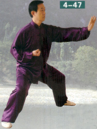 cover hands and strike with fist in form of chen style taiji