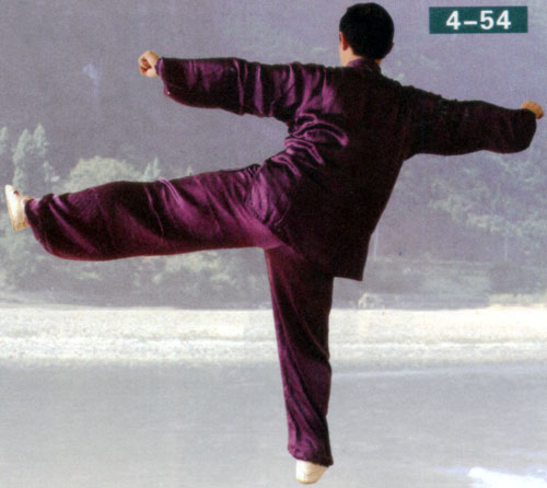 kick with the left heel in form of chen style taiji