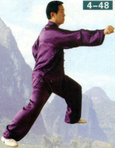 cover hands and strike with fist in form of chen style taiji