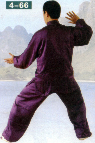 wave hands in form of chen style taiji