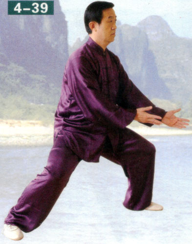 brush knee in form of chen style taiji