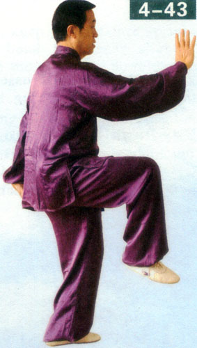 stepping to both sides in form of chen style taiji