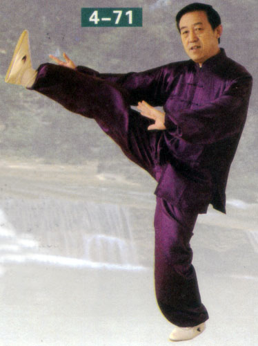 turn body with double lotus kick in form of chen style taiji